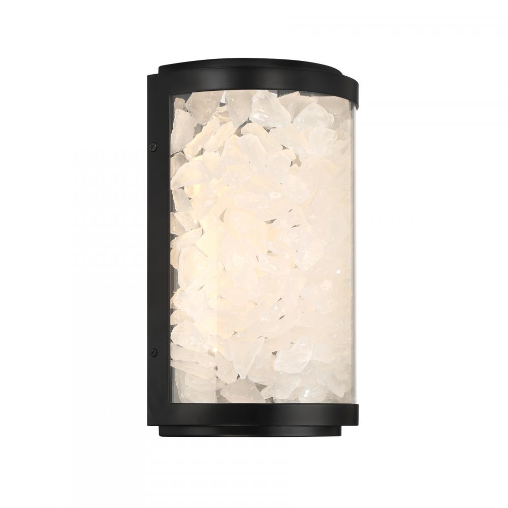 20W LED OUTDOOR WALL SCONCE