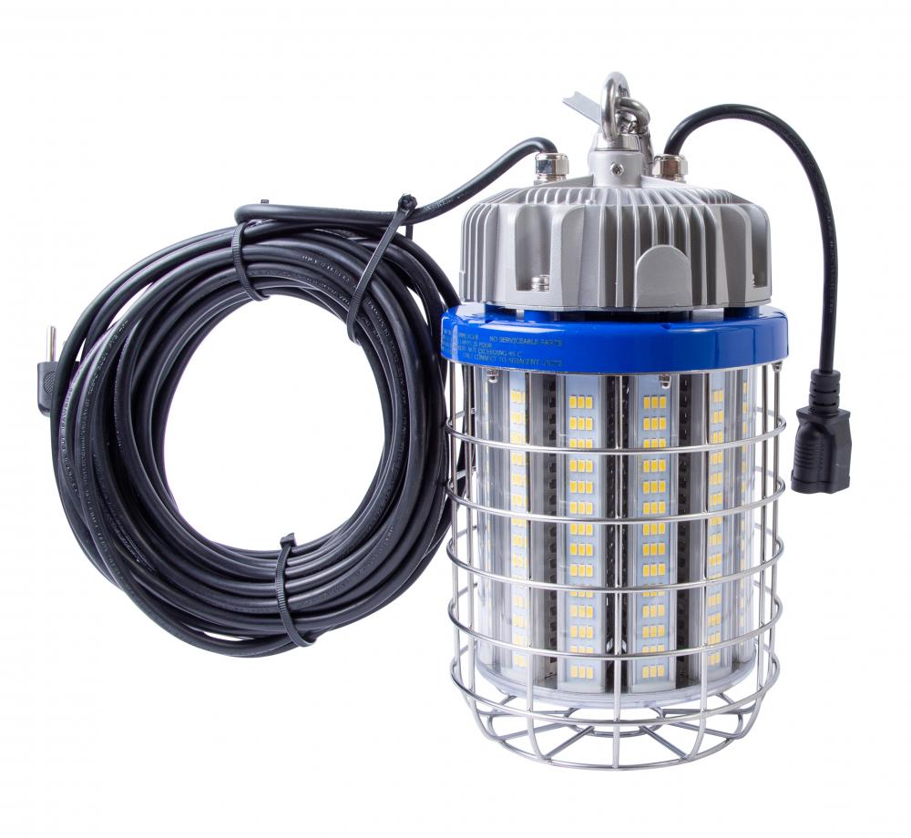 Temp Light 150w LED IP6520250lm 5000k 1/