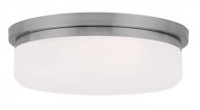 Livex Lighting 7392-91 - 2 Light BN Ceiling Mount or Wall Mount