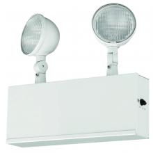 Dual-Lite, a Hubbell affiliate CCU2 - 2 head LED Unit.