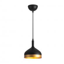 Artcraft SC13351BK - Dash Collection 1-Light Pendant, Black & Gold