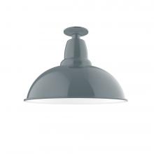 Montclair Light Works FMB108-40-G06 - 16" Cafe Flush Mount Light with Frosted Glass and cast guard in Slate Gray