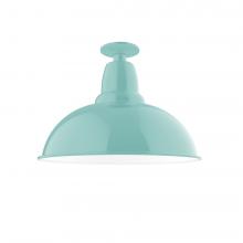 Montclair Light Works FMB108-48-L13 - 16" Cafe LED Flush Mount Light in Sea Green