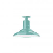 Montclair Light Works FMB182-48-W12-L12 - 12" Warehouse shade, LED Flush Mount ceiling light with wire grill, Sea Green