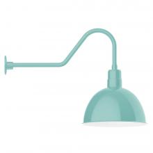 Montclair Light Works GNC117-48-L13 - 16" Deep Bowl shade, LED Gooseneck Wall mount, Sea Green