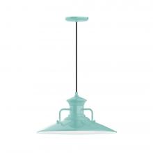 Montclair Light Works PEB143-48-C02-L13 - 18" Homestead shade, LED Pendant with black solid fabric cord and canopy, Sea Green