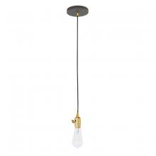 Montclair Light Works PEB400-51-91 - Uno 2" Pendant