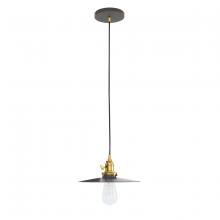 Montclair Light Works PEB403-51-91 - Uno 10" Pendant