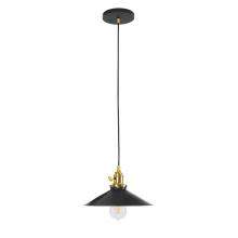 Montclair Light Works PEB404-41-91 - Uno 10" Pendant