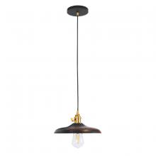 Montclair Light Works PEB410-41-91 - Uno 10" Pendant