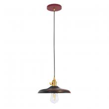 Montclair Light Works PEB410-55-91 - Uno 10" Pendant