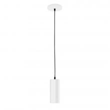 Montclair Light Works PEB418-44-C21-L10 - 3.5" J-Series shade, white cord with canopy, White