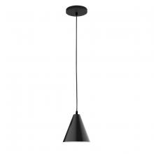 Montclair Light Works PEB420-41 - J-Series 8" pendant