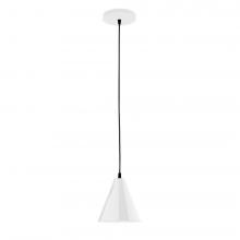 Montclair Light Works PEB420-44-L10 - 8" J-Series shade, black cord with canopy, White