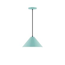 Montclair Light Works PEB422-48-L12 - 12" Axis Cone LED Pendant, Sea Green