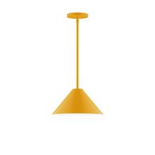 Montclair Light Works STG422-21-L12 - 12" Axis Cone LED Stem Hung Pendant, Bright Yellow