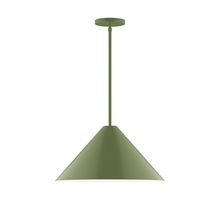 Montclair Light Works STG423-22-L13 - 18" Axis Cone LED Stem Hung Pendant, Fern Green