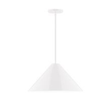 Montclair Light Works STG423-44-L13 - 18" Axis Cone LED Stem Hung Pendant, White