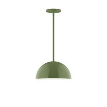 Montclair Light Works STG432-22-L12 - 12" Axis Dome LED Stem Hung Pendant, Fern Green