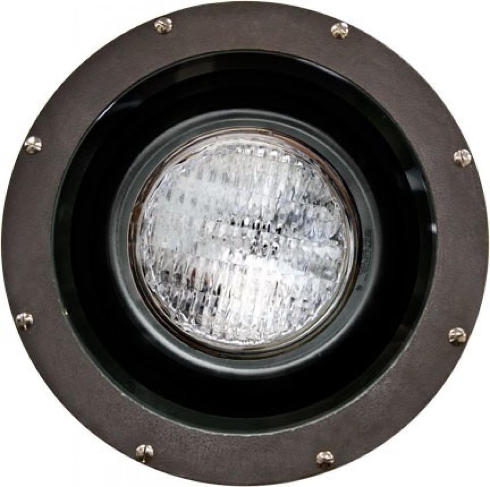 FIBERGLASS WELL LIGHT PAR38 120V