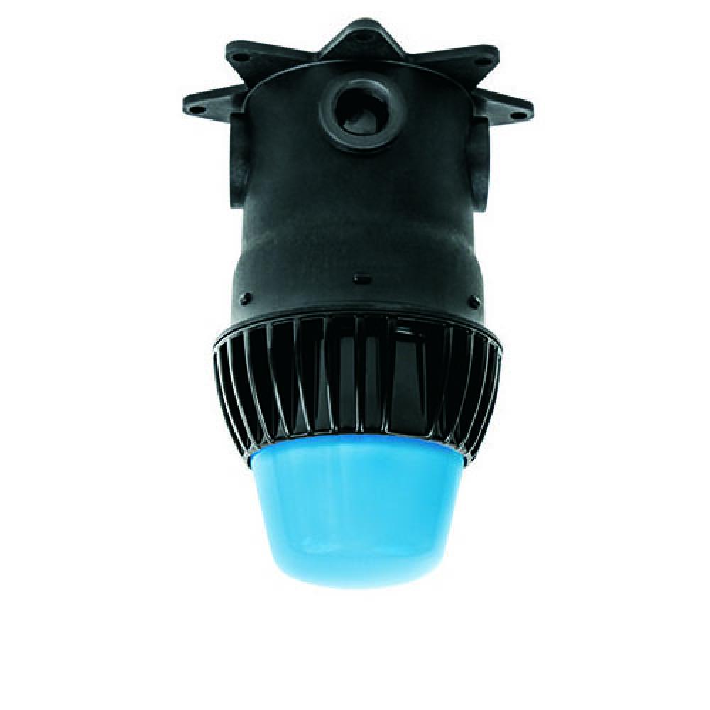 PROSERIES LED UTL LGT FIX BLUE LENS