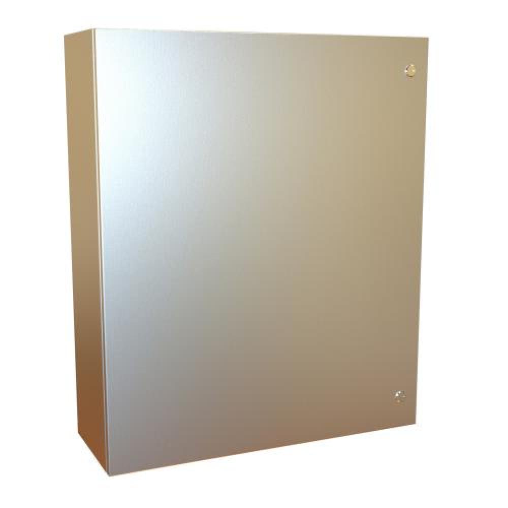 TYPE4X 316SS 36X30X10NO PANEL