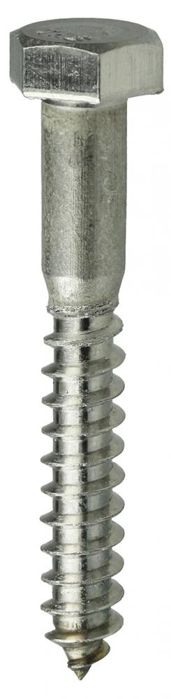 5/16" x 3-1/2" SS Hex Head Lag Screw