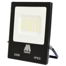 Morris 74202 - Rayzr Mini Floodlight 30W