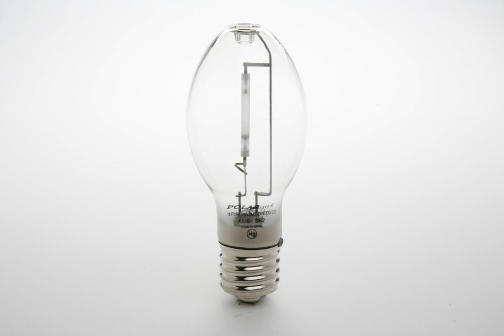 BULB, 42W PLT