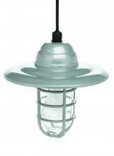 Southwire L1704 - LIGHT, SECURITY DECORATIVE FARM LIGHT