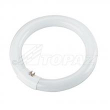 Southwire FC8T9CW-39 - 12PK 22W 8" COOL WHITE T9 CIRCLINE