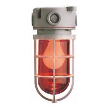 Ipex USA LLC 077599 - LVPEHRR150 CEIL. MT. 150WPVC UT. LIGHT RED HR GG