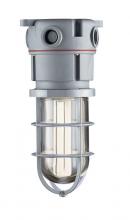 Multi Fittings Corp 077122 - CEIL. MT. 13W PVC CF FIXT. CLEAR STD GG SCEPTALI