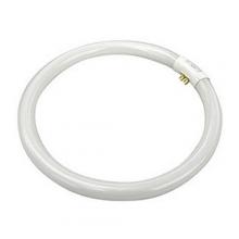 TCP 3203231K - 32W CIRCLINE 31K