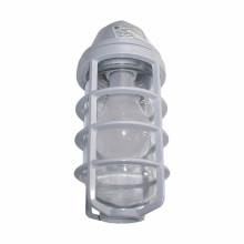 Eaton Crouse-Hinds P100C - GLOBE POLYCARBONATE CLEAR