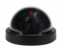 BRK PRO-DC3 - Dome Decoy Camera