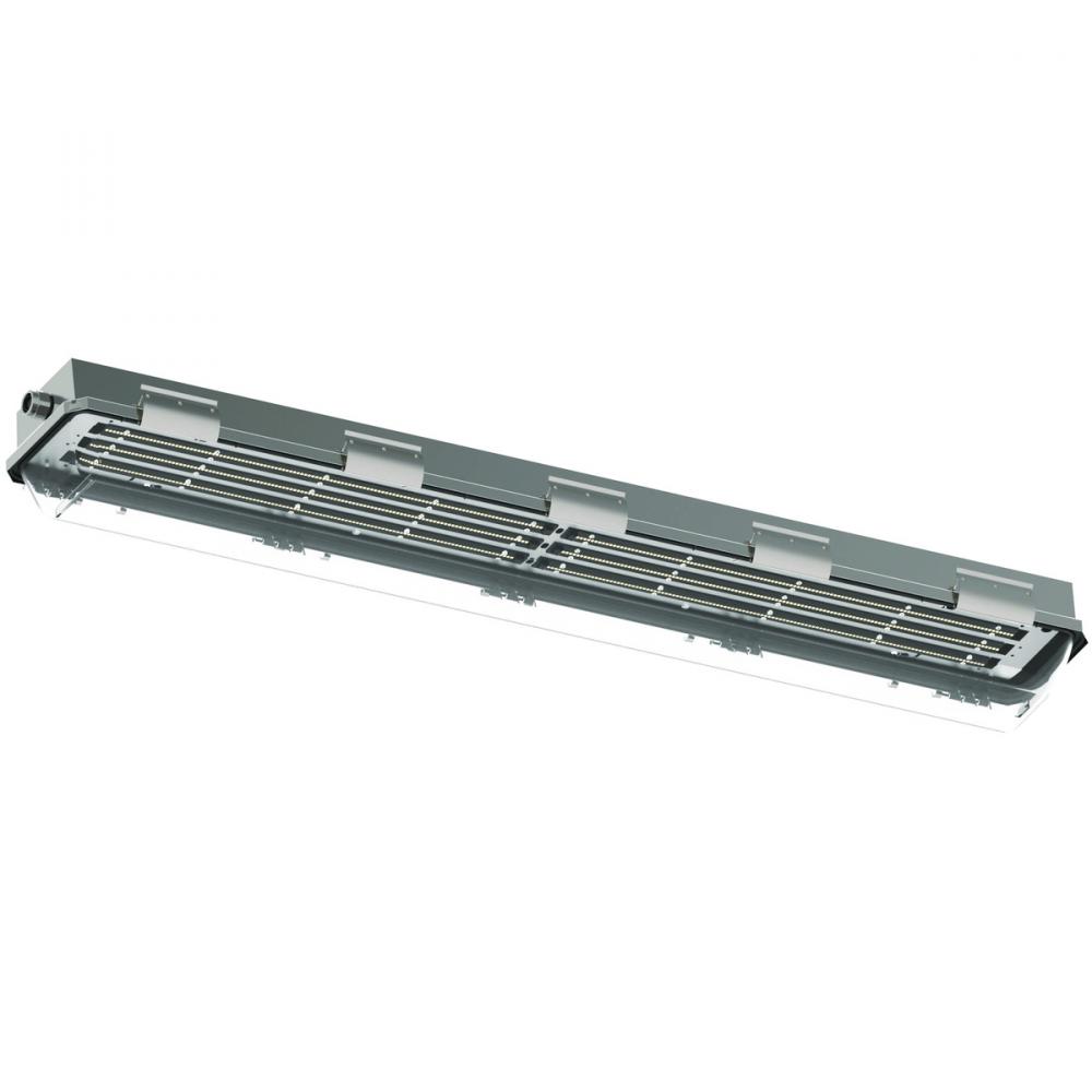 LZ2 55W LED 347-480VAC 50/60HZ 316SS 4'