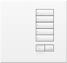 Lutron Electronics QSWE-5BRLN-SN - QSWE-WALLSTN 5BRL N/INS SN