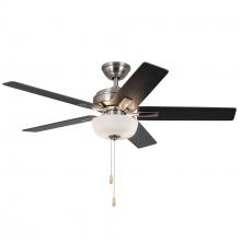 Ceiling Fans with Light