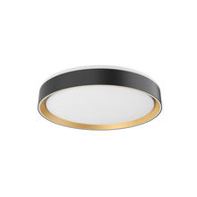 Kuzco Lighting Inc FM43916-BK/GD - Essex 16-in Black/Gold LED Flush Mount