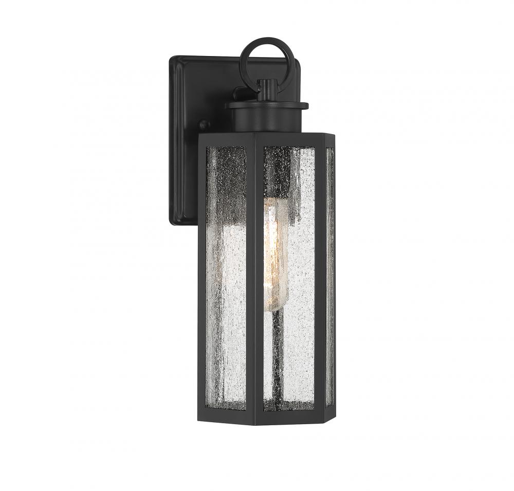 Hawthorne 1-Light Outdoor Wall Lantern in Black