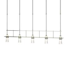 Hubbardton Forge 137725-SKT-SHRT-85-ZM0343 - Erlenmeyer 5 Light Pendant