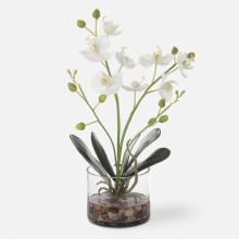 Uttermost 60201 - Uttermost Glory Orchid