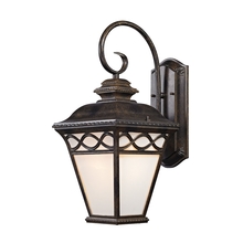 ELK Home 8561EW/70 - SCONCE