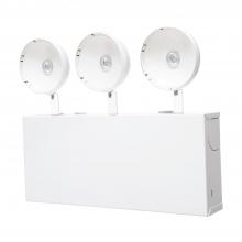 Cooper Lighting Solutions SELM80SD - METAL EM,THREE 300 LUM HD SD