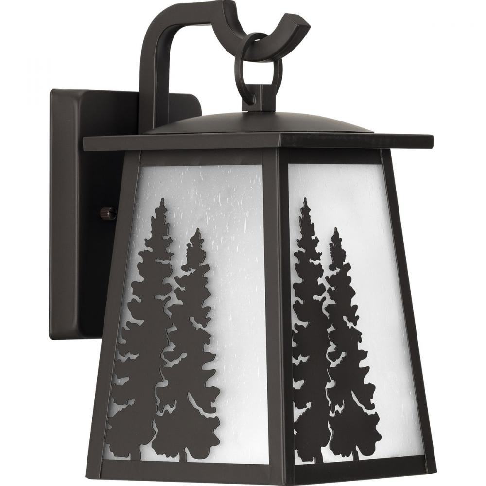 P560161-020 1-100W MED WALL LANTERN