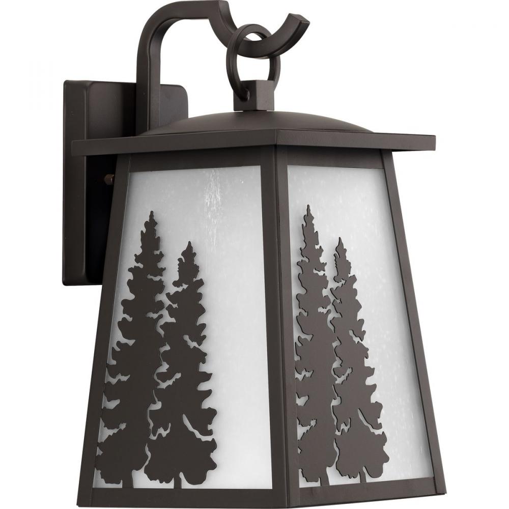 P560162-020 1-100W MED WALL LANTERN