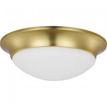 Progress Lighting, a Hubbell affiliate P350147-012 - P350147-012 2-60W MED FLUSH MOUNT