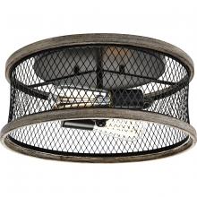 Progress Lighting, a Hubbell affiliate P350154-020 - P350154-020 2-60W MED FLUSH MOUNT