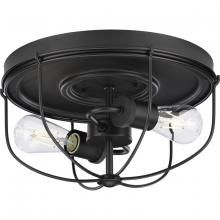 Progress Lighting, a Hubbell affiliate P350195-143 - P350195-143 2-60W MED FLUSH MOUNT